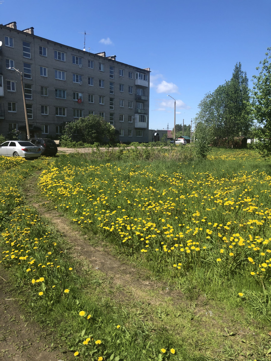 Ремонт дворовой территории многоквартирных домов по адресу: Комсомольский  пр., д. 44, ул.Дзержинского, д. 16 в г.п. Мга - Портал МОИФИНАНСЫ.РФ